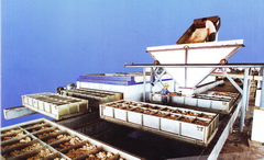 Standard Natural Rubber Processing Line